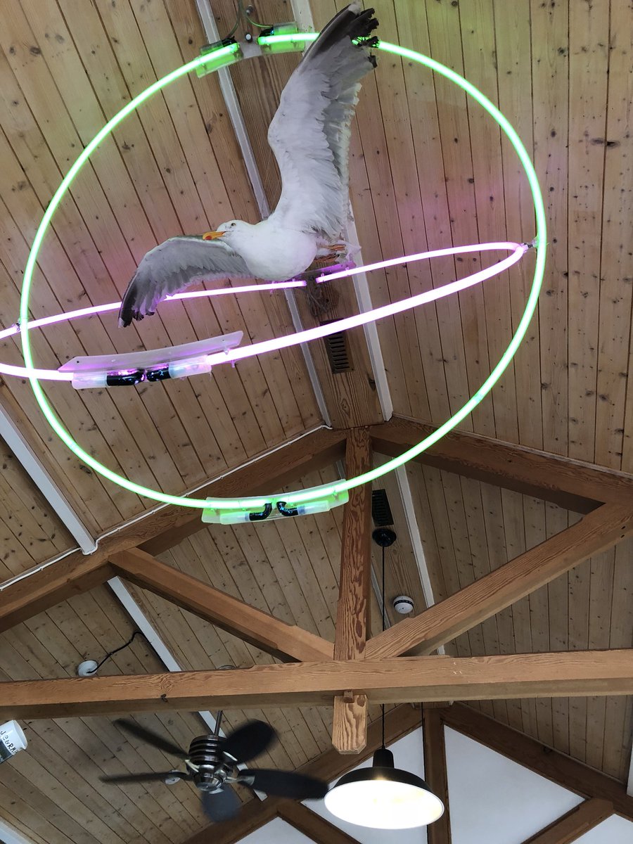 bruntv's tweet photo. Hula @HIXRestaurants #LymeRegis https://t.co/PvrpJXK6BA