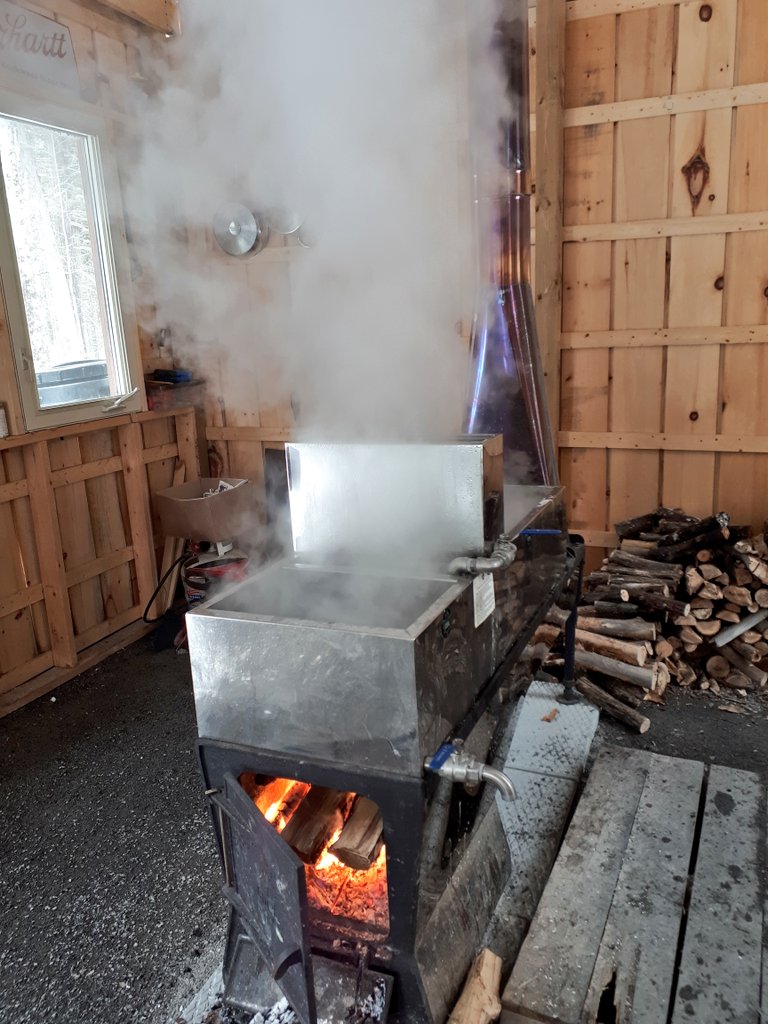 PYE75's tweet photo. This is how stressful my Saturday is.... stoking the fire and boiling sap. Amazing #maplesyrup season so far. https://t.co/YyHtwXAh7H