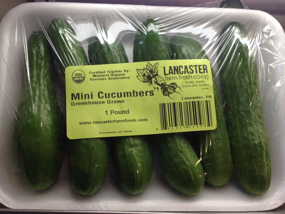 FairFoodPhilly's tweet photo. Craving a taste of summer? Try these oh-so-cute and delicious mini cucumbers. Organic and locally grown. Serve in a salad, all alone, with a dip, or in a gin and tonic. @RdgTerminalMkt https://t.co/POJd1z8BbD