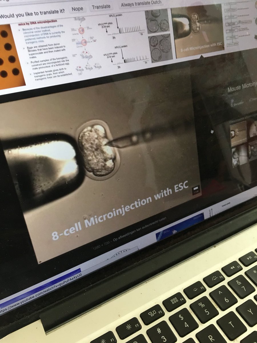 vladstorm_'s tweet photo. Designing VR future med lab for human gene modification to make better humans @waag together w @VivoArts and @databodybank.
#medicalVR #virtualreality #VReducation #VRscience https://t.co/8gkh3oZTZR