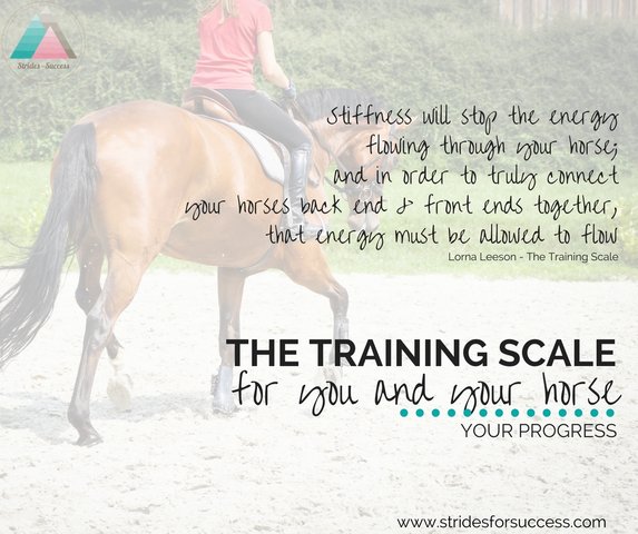LornaLeeson's tweet photo. Make planning your rides a little easier by working with the training scale #HorseRiding #Equestrian
https://t.co/4Ee0VLfIgb https://t.co/5XPjE6cUGR