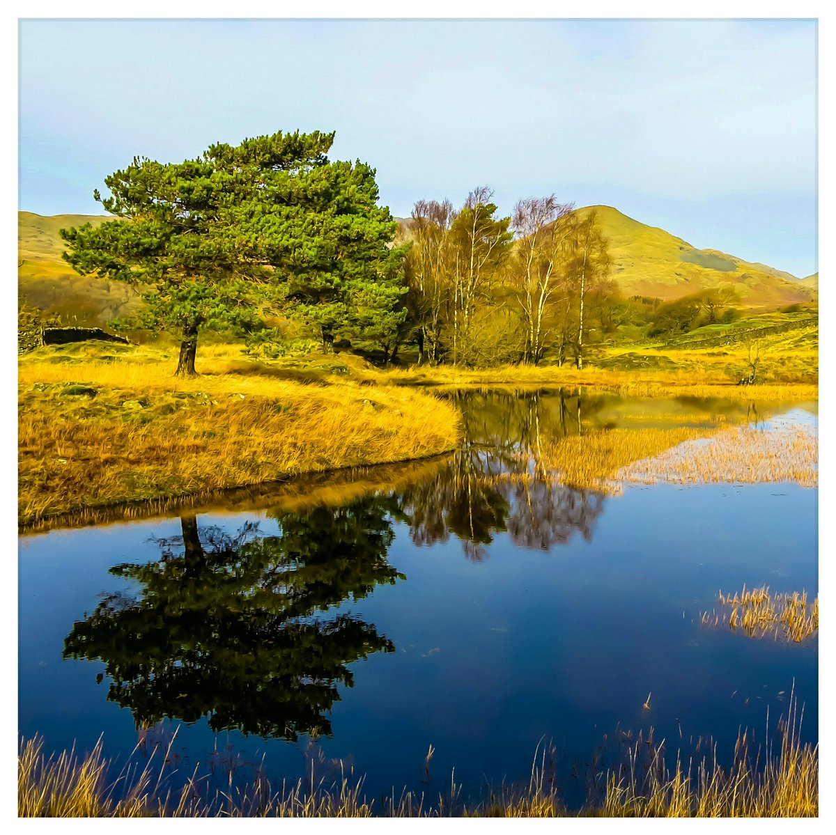 Daryn4pics's tweet photo. #Reflections at Kelly Hall Tarn #landscapephotography #lakedistrict #cumbria #Nature #photography https://t.co/il9tcTZwFJ