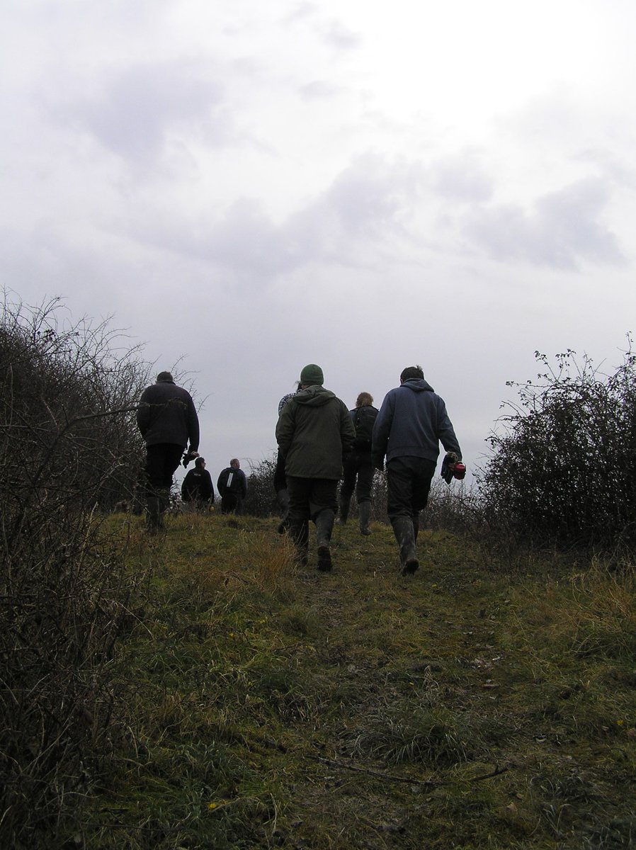 HearleSharon's tweet photo. Norfolk volunteers on the Cut-off Channel clearing scrub for Dingy Skipper. Coltsfoot in full glory #BCAction Day #BC50th https://t.co/oOC71pqrpI