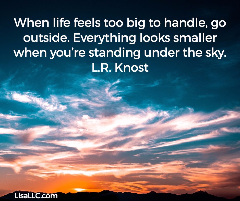 Lisa Gillispie (@lisagillispie) on Twitter photo 