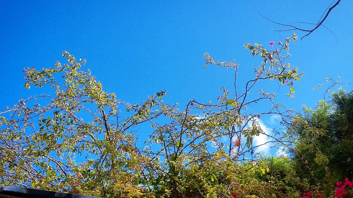 EsraaGbreil1's tweet photo. There's always hope 💙🌸
#open_it 
#Today 
#By_me https://t.co/LGb25MDgpM