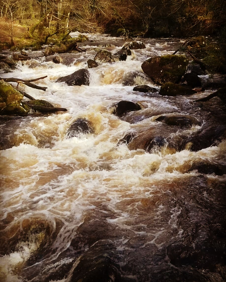 juliemckenz's tweet photo. #ARTIST INSPIRATION FROM #DARTMOOR #CORNWALL #DEVON #NATURE #SHAUGH PRIOR #photography #sculpture #Artworks #greenmen plaques #mckenzies magickal Grove fb 😉 https://t.co/rZsniUdRIG
