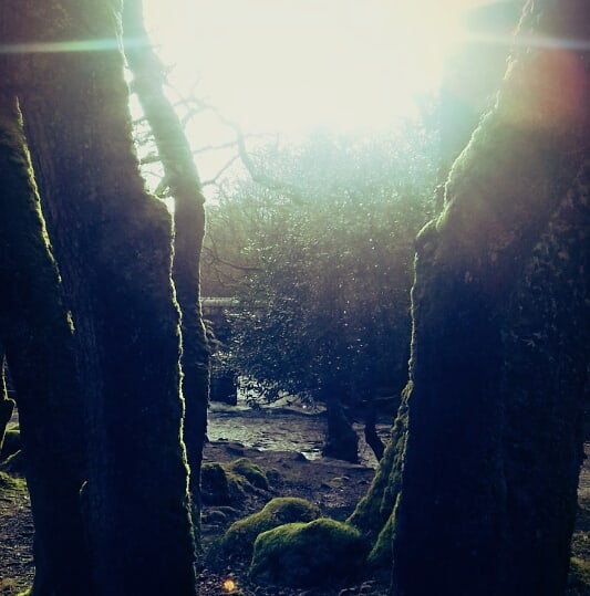 juliemckenz's tweet photo. This is where the magick is 😄 #artist #Plymouth based #beauty #jewellery #sulpture #photography #mckenzies magickal Grove fb inspiration beautiful #shaugh prior #Dartmoor #Cornwall #Devon https://t.co/eoxW5Z7HNp