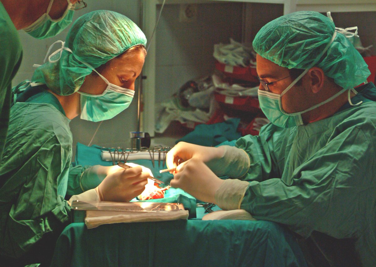 saludand's tweet photo. 📆 Esta semana hemos celebrado el  #DíaMundialRiñón #WorldKidneyDay con unas cifras de récord: 🏥🔝 Los hospitales públicos andaluces realizan 113 trasplantes renales en los dos primeros meses del año https://t.co/83XGhm7lFt https://t.co/5pCYnBQEgO