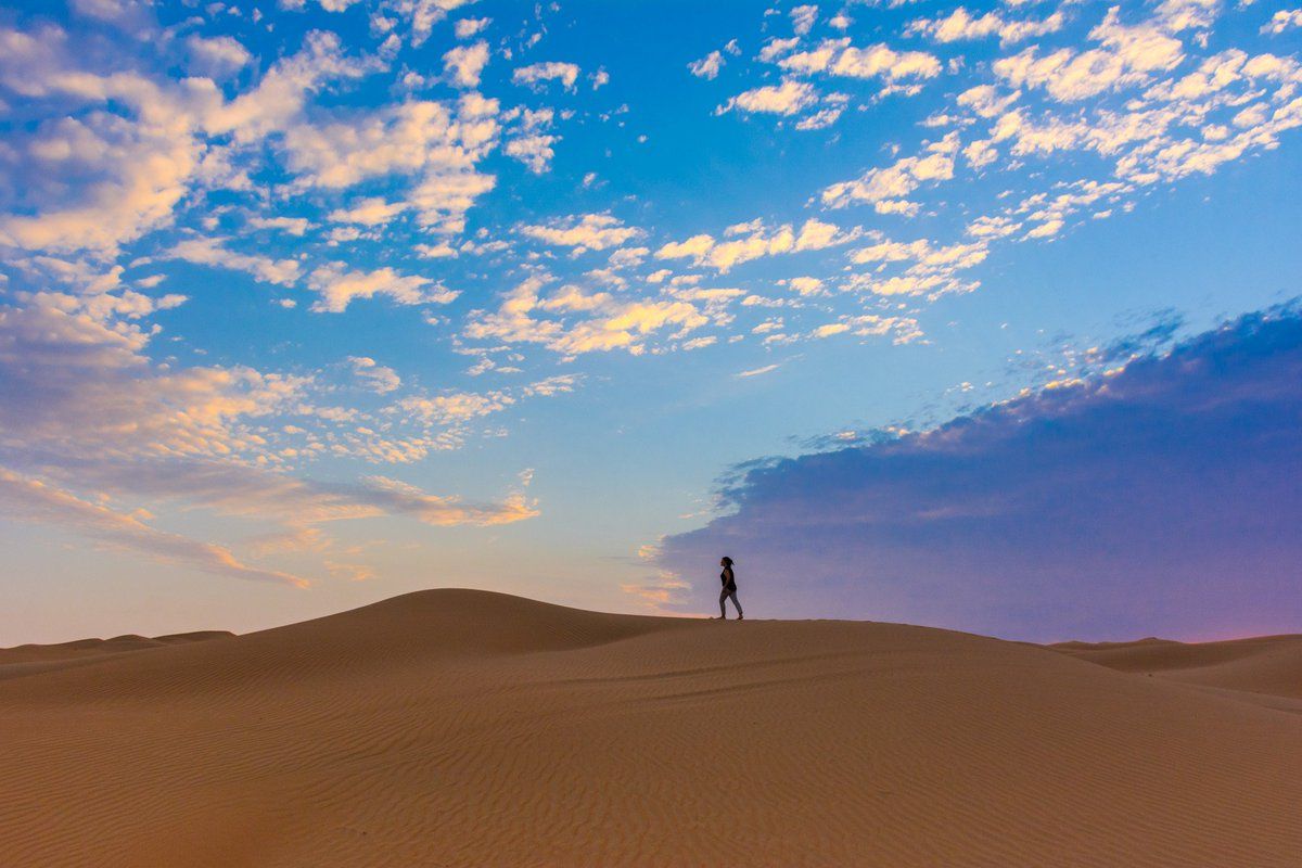 No Destinations tweet media