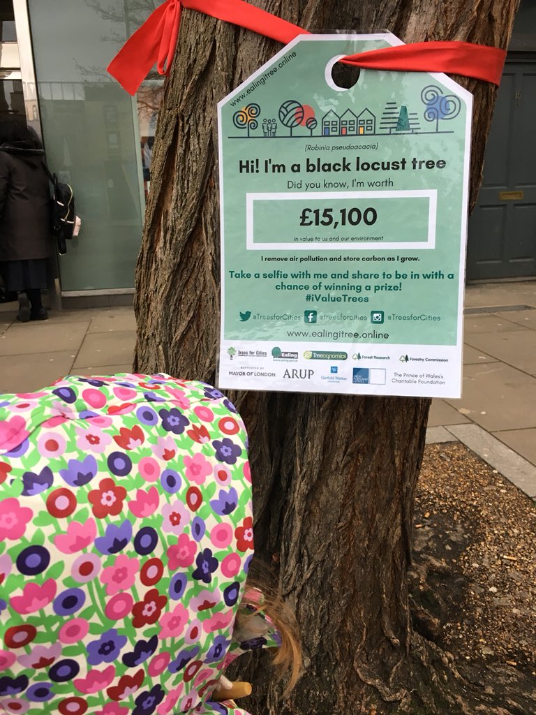 EllieJayL's tweet photo. We had a great time before Christmas planting trees on Horsenden Hill with @TreesforCities , I wonder how much theyβll be worth in a few years? #iValueTrees https://t.co/357h5cu1z6