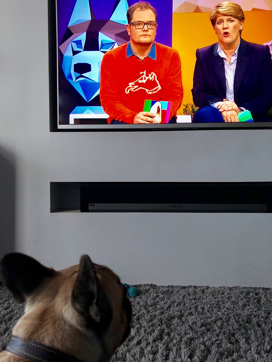 Bennett_Darren's tweet photo. #cruftsextra Hugo the Frenchie keeping his eye on @AlanCarr https://t.co/AvSbdcQx1T