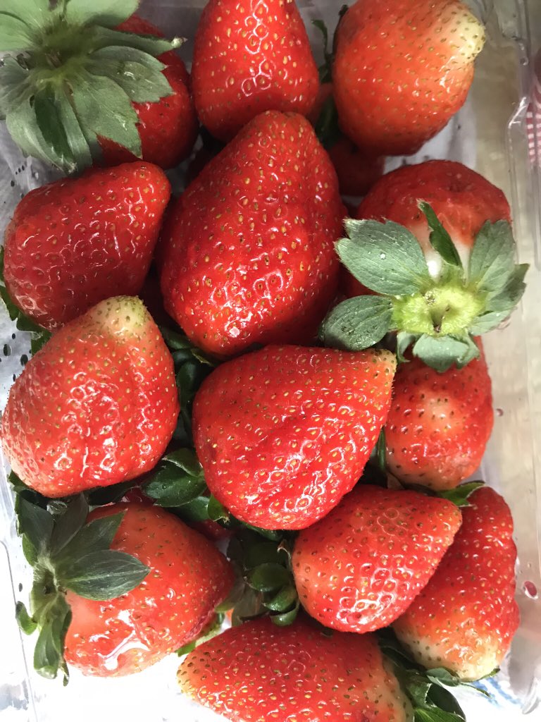 WheelerMrMark's tweet photo. Fresh strawberries arrive on Monday. More great learning fuel! https://t.co/0ftU2IhDE7