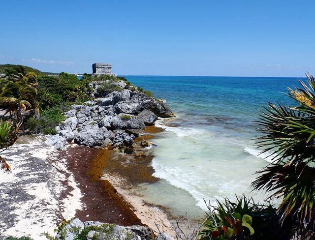 First_We_Eat's tweet image. Tulum Ruins 😍 ift.tt/2oWjUPW