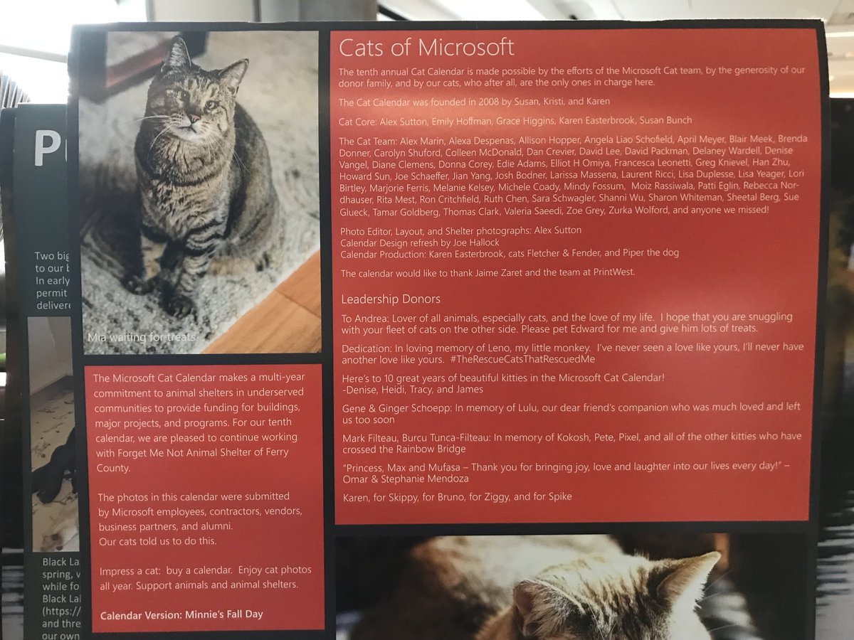 Lesley_wolan's tweet image. #dogsofmicrosoft #catsofmicrosoft fantastic initiatives 🐶❤️🐱 2 images