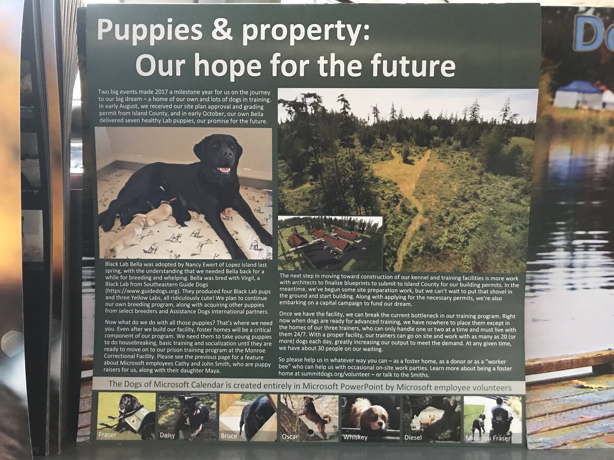 Lesley_wolan's tweet image. #dogsofmicrosoft #catsofmicrosoft fantastic initiatives 🐶❤️🐱 2 images