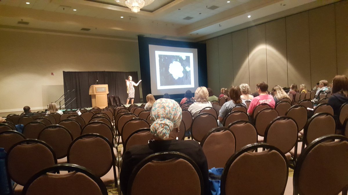 AprilJemes's tweet photo. We need to give children what they need when they need it. Children do not all "bloom" at the same time. Forcing the bud to bloom damages the flower. #MOCYY2018 #earlychildhood https://t.co/PAKr9ihumY