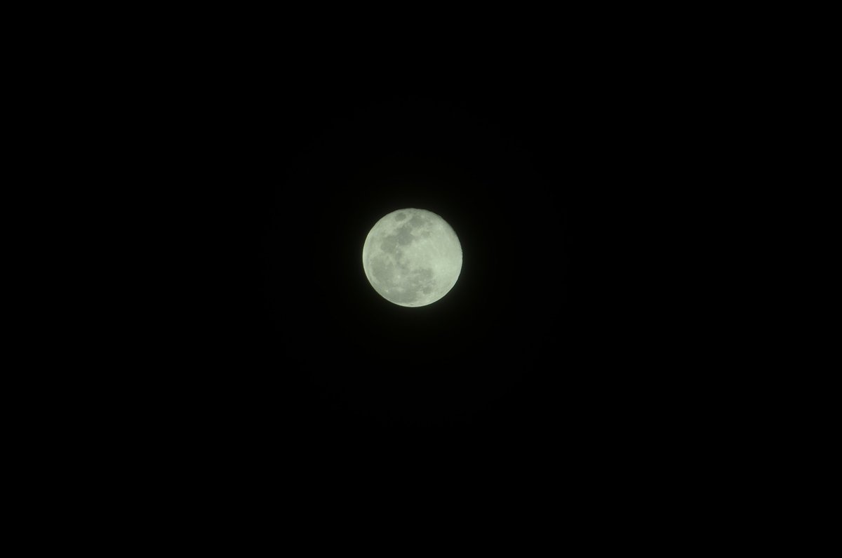 avibavi's tweet photo. "To sit in the shade on a fine day, and look upon verdure, is the most perfect refreshment." Jane Austen #fullmoon #wormmoon https://t.co/3GfLcmWBiM