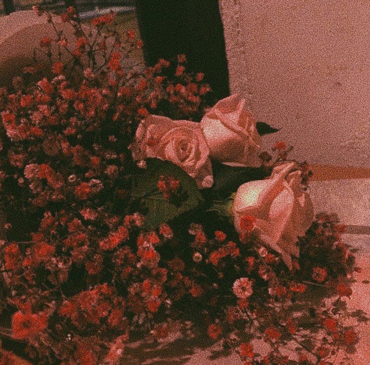 brklbby's tweet photo. Harry Styles &amp; Flowers, a thread: https://t.co/NxfBAwnmCt