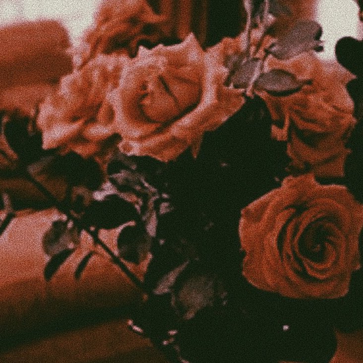 brklbby's tweet photo. Harry Styles &amp; Flowers, a thread: https://t.co/NxfBAwnmCt
