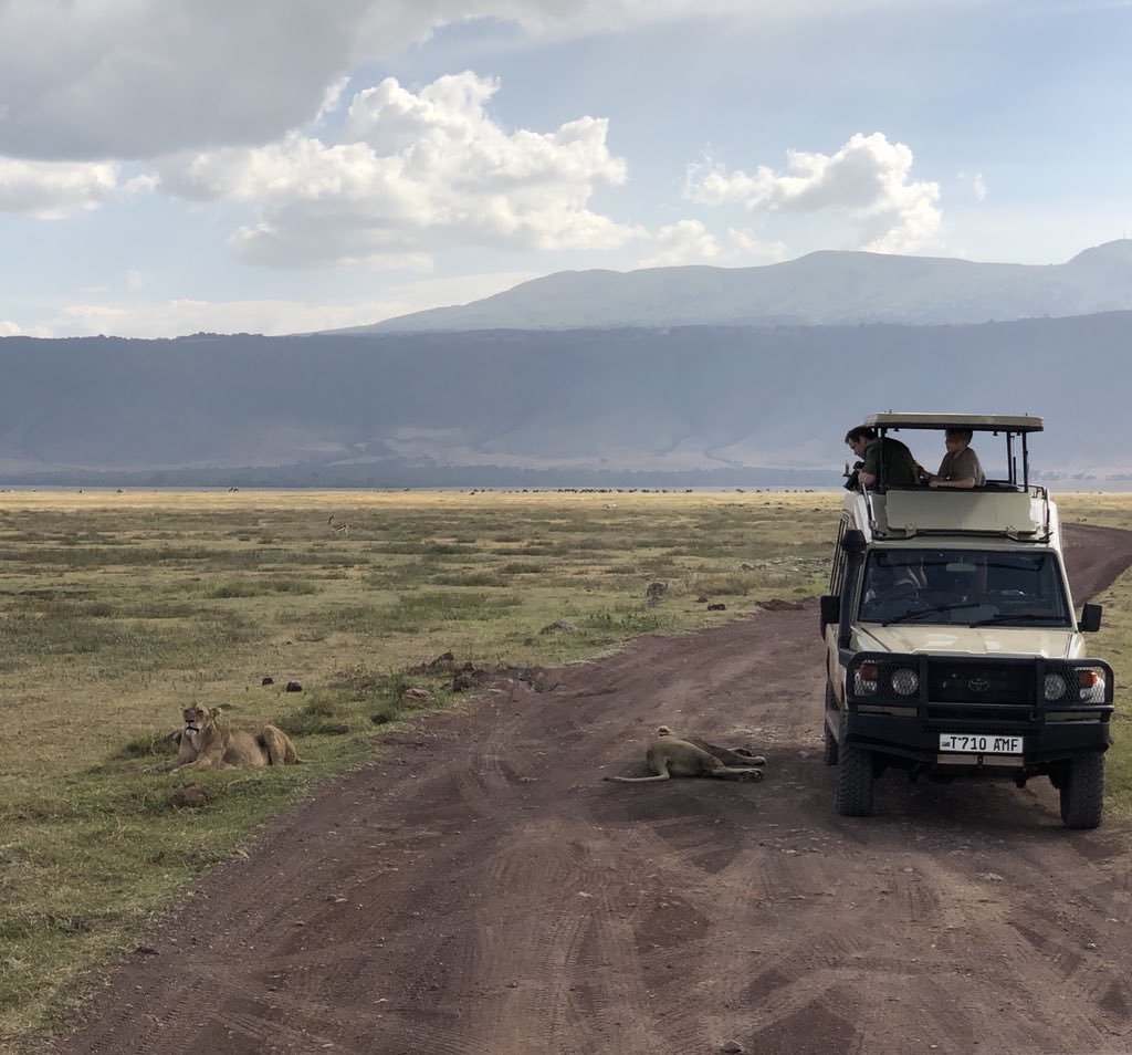 I was struck by the attitude of #Tanzanians to the environment. They sincerely love, respect and protect nature. Many wild animals live in parks throughout the country, and local people, guard them in every possible way. We have a lot to learn from this country.
#ngorongoro