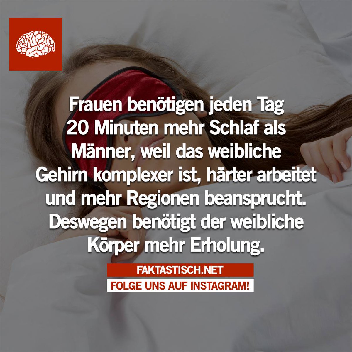 Faktastisch (@faktastisch) on Twitter photo 