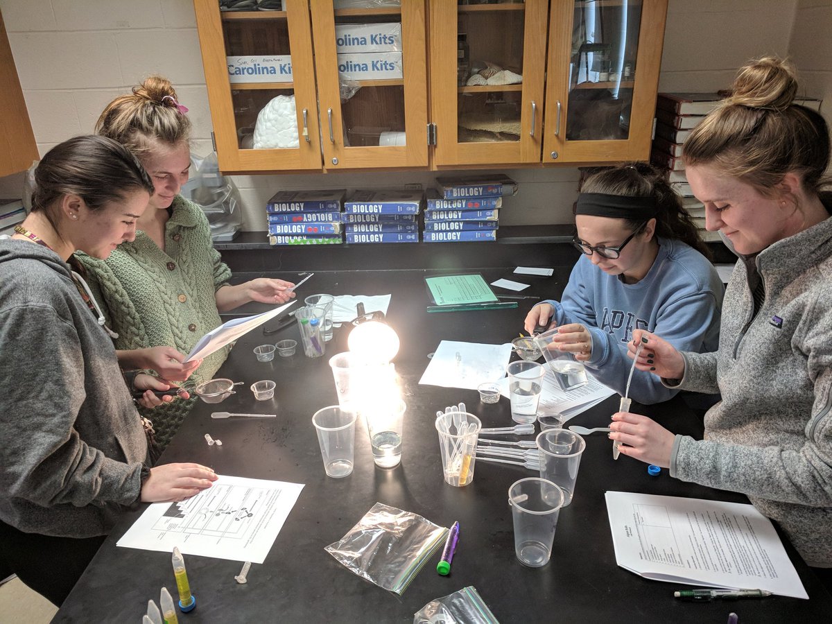 sullbiology's tweet photo. Testing photosynthesis in algae spheres. #APSaturday, #Labz4Lyfe https://t.co/BnFh8oS1KZ