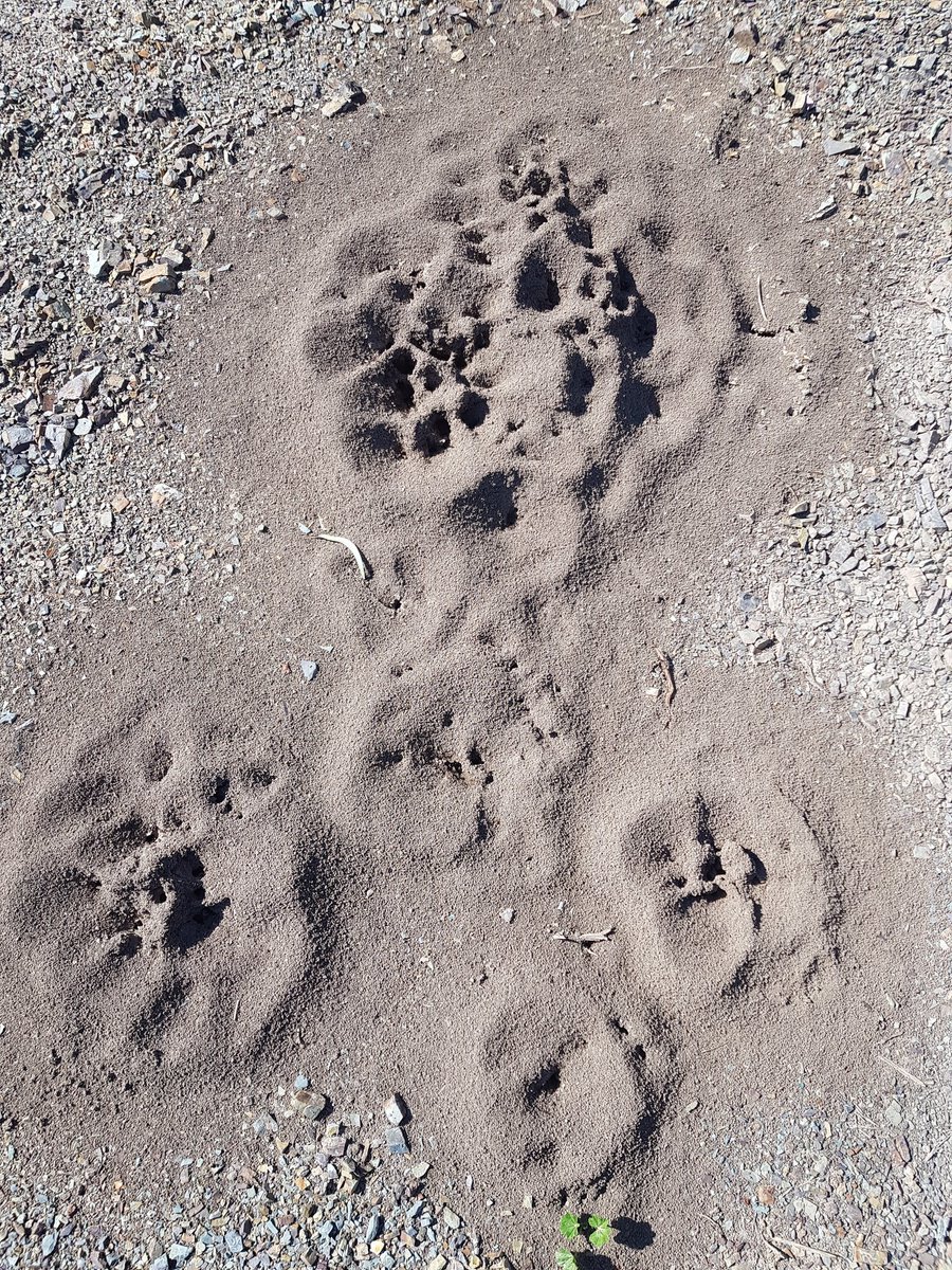 Yaşadığımız ,şu karması dünyada. Karıncalar bizde daha iyiler iç içe...