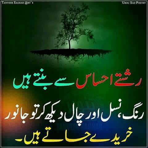DildarshahKhan's tweet photo. https://t.co/7xMPCkf0Ux