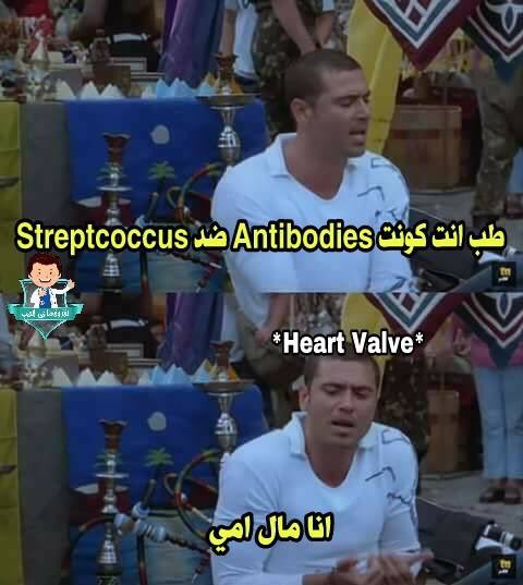 DrH79483135's tweet image. لما بيحصل cross reaction بين بكتيريا الستربت وصمامات القلب ف الحمي الروماتزمية rheumatic fever 🤒 
#fun_zone
