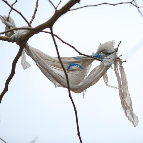 NYClimate's tweet photo. ICYMI: It costs #NYC $12.5 million to haul 91,000 tons of bags to landfills. That’s just one of the many reasons why @NYCMayor is again calling for a ban on plastic bags. In the meantime get your @Green__NYC #BYONYC reusable bag here: https://t.co/hYMqLHprpS https://t.co/XdqozOF5R2