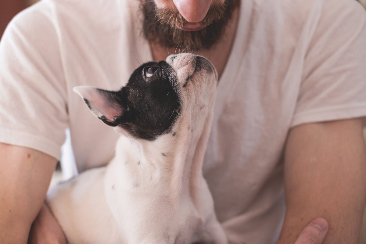 pawTree's tweet image. Weekends are meant to snuggle up and watch movies with your best friends! #pawTree #dog