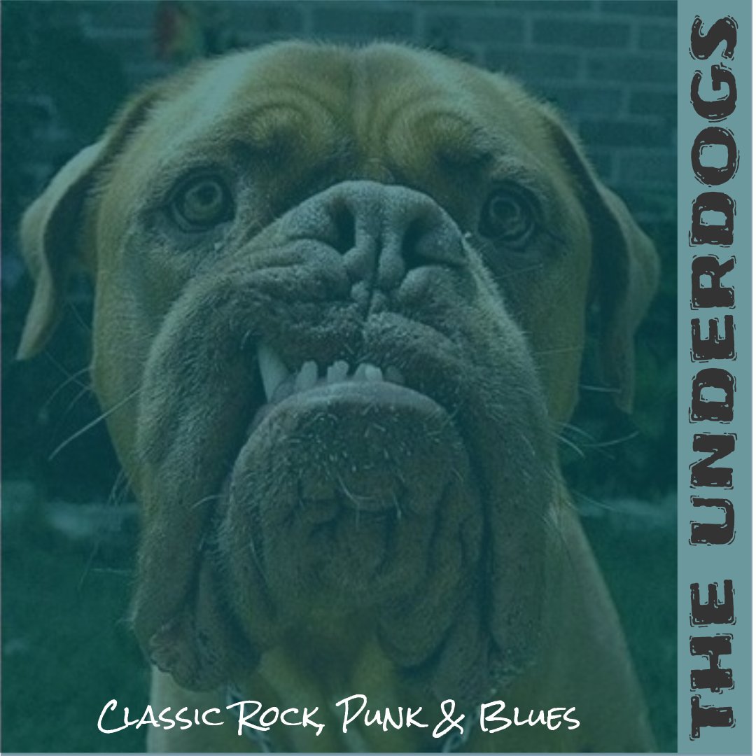 FansOfUnderdogs's tweet photo. Returning to the Waggon and Horses, Chalfont St Peter for our first gig with The Badger! Rock from 9pm TONIGHT! https://t.co/d8ePj1oO6E