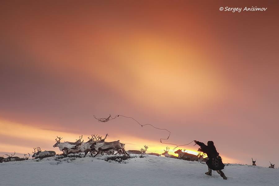 siberian_times's tweet photo. Daily life on the Yamal peninsula, northwest Siberia. All pictures by Sergey Anisimov https://t.co/CQmTPfo5oI