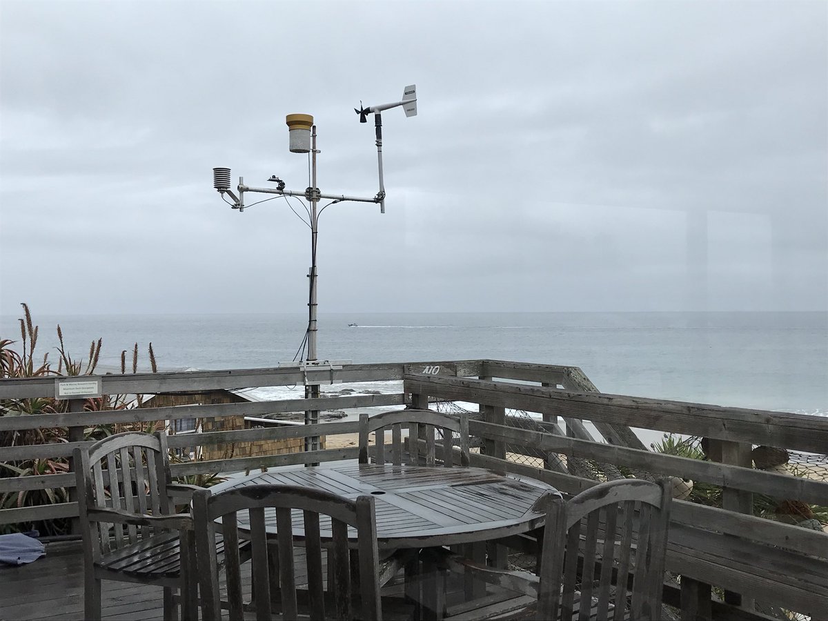 JroneyJulie's tweet image. When you have to work on Saturday, you just can’t ask for a better location! @CCConservancy #projectCRYSTAL 🐬🌊 #dedicatedteachers @OrangeUnifiedCA @McPhersonMagnet