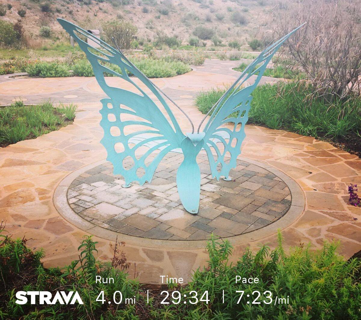 essentialrunner's tweet photo. Check out my run on Strava.
https://t.co/a9cfBPB7pN https://t.co/EkT9Bvpir5