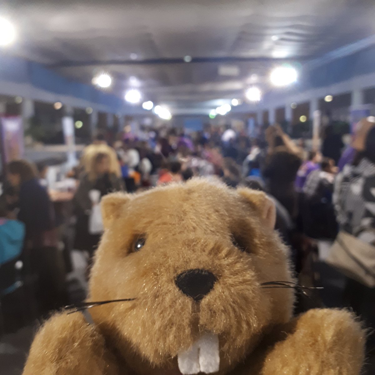 CastorsBarAJeux's tweet photo. Ambiance de fous au @FestivalJeuMpl à @le_corum <3 #sortonsjouer #jd2s #boardgames #selfie https://t.co/mG3Th3kpZL