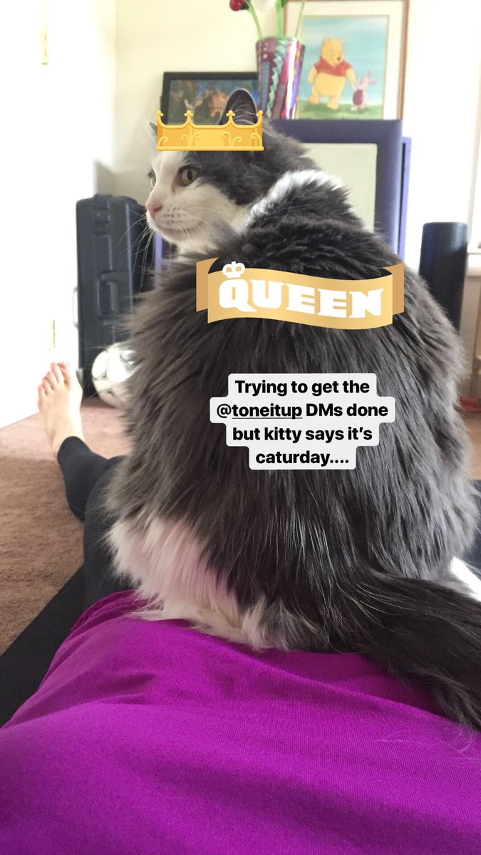 RoxTonesUp's tweet photo. Who joined me for the @ToneItUp daily moves this #caturday??? 🙋🏼‍♀️🙋🏾‍♀️🙋🏽‍♀️🙋🏻‍♀️ I love being able to scroll through the moves in the #studiotoneitup app 💜 It helps me get all 3 rounds done and it’s so fun to see so many ladies doing it at the same time! https://t.co/SECjacMxn3