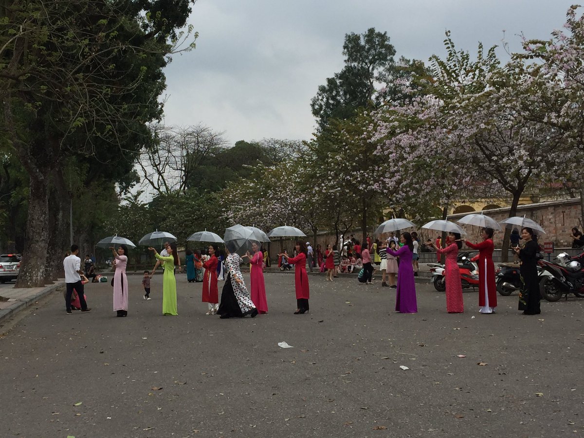 haviet02's tweet photo. When it blossoms in town #hanoi, #aodai, #traditional, #vietnam https://t.co/F3z9emxlkt