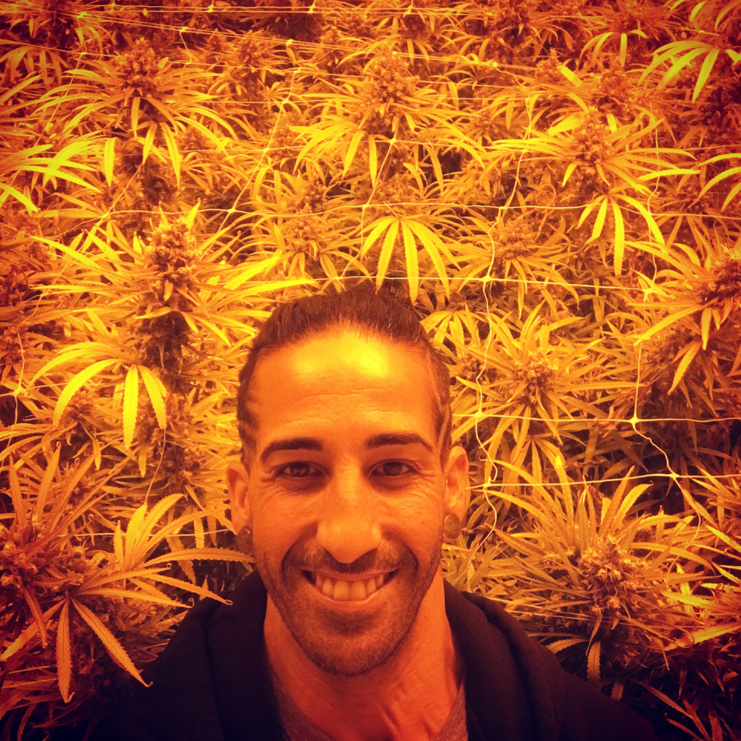 DjShayn's tweet photo. Hope your weekend is filled w Lovely Organics :)
@NorCalStoner420 @weedweedstoner @wizkhalifa  @Troy_Icon @blicqer @SpotItHigh @aagw @samriddle @seekingreform73
@FukTrumPETs @Norstackk @Cogitatorium @4Rare420_Rx @ArmyOfPotheads @Kunzitoons @CannabisWolf72 @lrbates21517
@DCNYATL https://t.co/gYD0VVEfyC