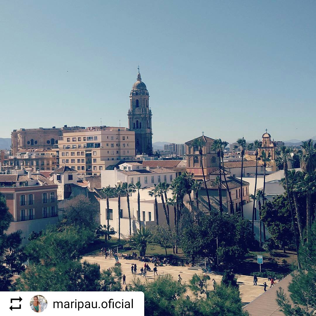 NewlySpanish's tweet photo. We are sending you a stunning views of Málaga to make this weekend even better!👏😍 #newlyspanish

#spain #españa #spanish #malaga #costadelsol #andalucia #andalusia #cathedral #citycenter #citylife #view #viewpoint #horizon #peisaje #landscape #historical #traveltip #visitspain https://t.co/TVlfP4UxXt