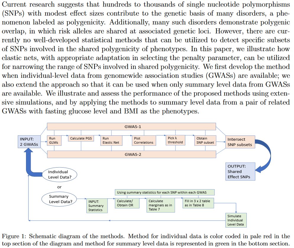 DoroThuillier's tweet image. Shared Polygenicity detection using Elastic Nets: SHARPEN biorxiv.org/content/early/… @biorxivpreprint #GWAS #ElasticNet #Statistics  #models #LASSO #Ridge #regression #method