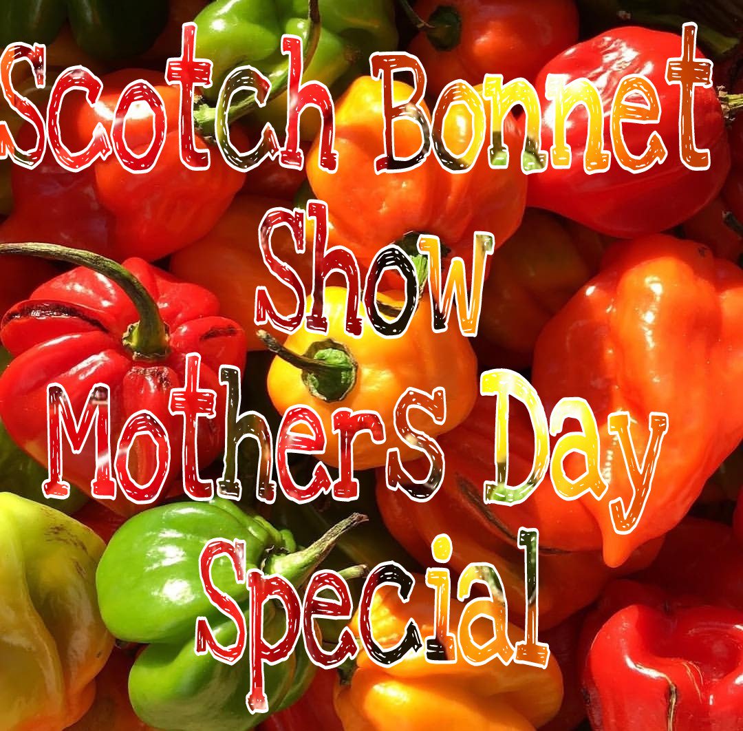 ItsDjScratchyD's tweet photo. Tune in from 8 @InspirationFM playing some songs for all the mums then second half of the show new music #dancehall #reggae #radio #MothersDay @tunein https://t.co/VHGo8BYaL8