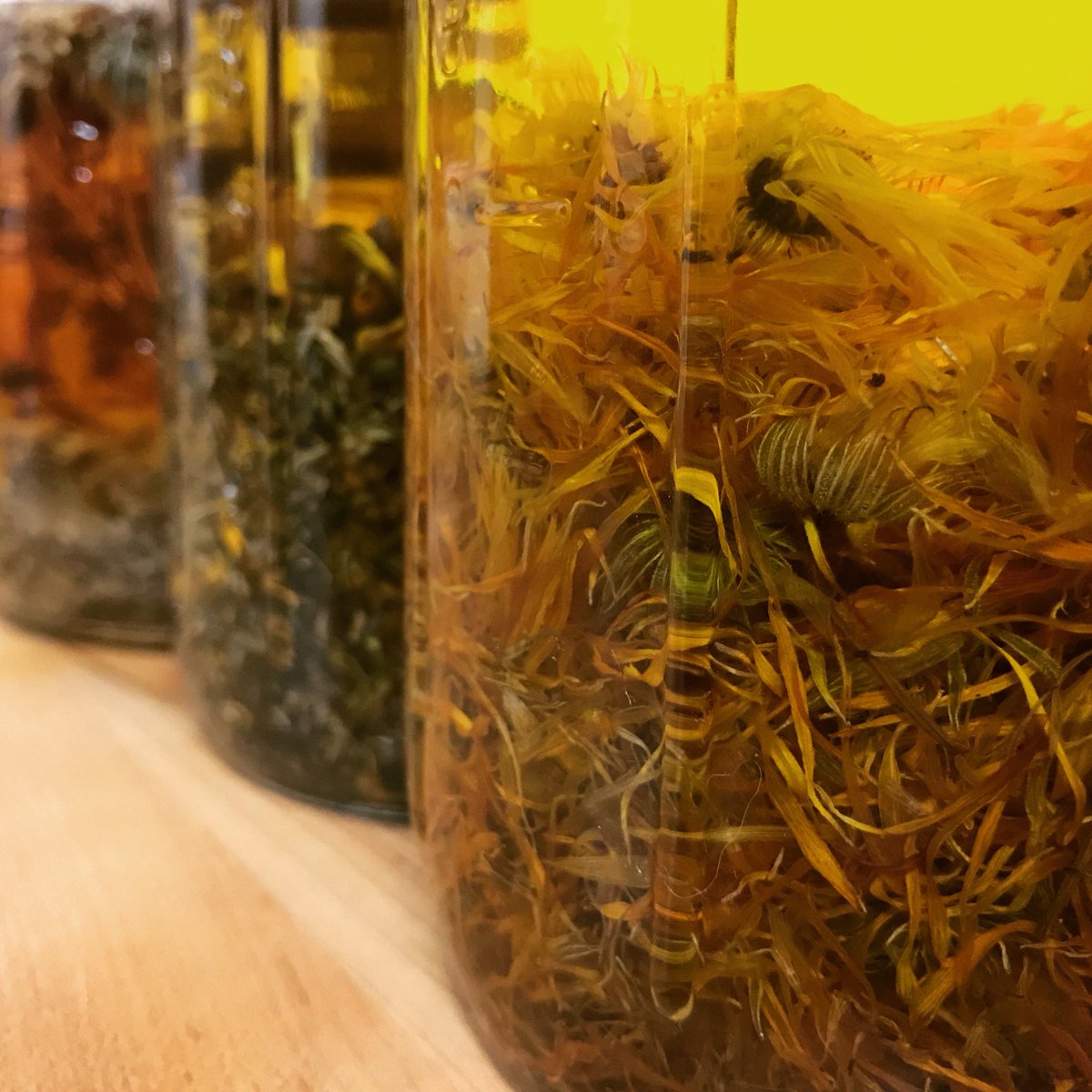 fawnlilybotanic's tweet photo. Botanical tinctures 🌿🌟 #plantmagic #herbalmedicine #botanical #herbaltinctures #plantmedicine #tinctures #naturalmedicine #herbalremedies #herbalism #fawnlilybotanica https://t.co/0qcns11shX