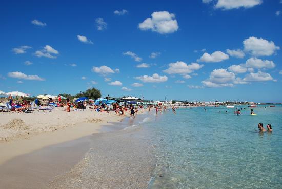 RobertoBramato's tweet photo. #Salento #TorrePali #MaldivedelSalento #Estate #holidays #mare #sea #sun
https://t.co/nZX4RZRk18 https://t.co/mHQGJGLArU