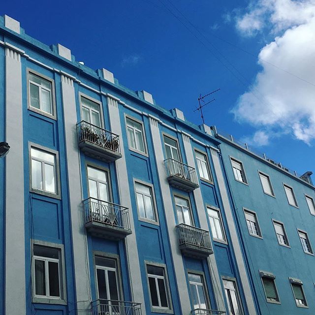 LivaJudic's tweet photo. 🦋 Big blue everything .
.
.
.
.
.
#lisbon #lisboa #portugal #blue #letsgosomewhere #stayinspired #photosinbetween #minimal #minimalist #soulminimalist #minimalmood #photography #travel #wanderlust #voyage #journey #viaggio #viajar #ilovetravel #lival… https://t.co/e9MGpvTgFv https://t.co/4AxA2XBJgj