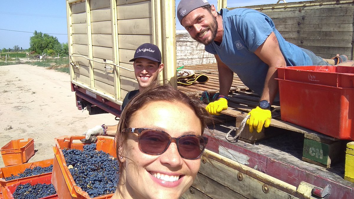 #Vendimia2018 @ Finca Hagen, Medrano.
#mendoza #weinert #lovemyjob