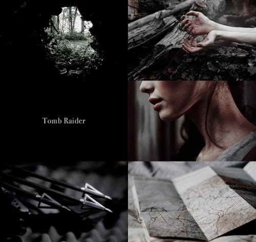 Lara Croft (@survivorlarac) on Twitter photo 