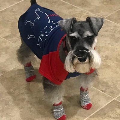 GGoodney_LASS's tweet photo. #NewProfilePic https://t.co/yHPYUCXQNt