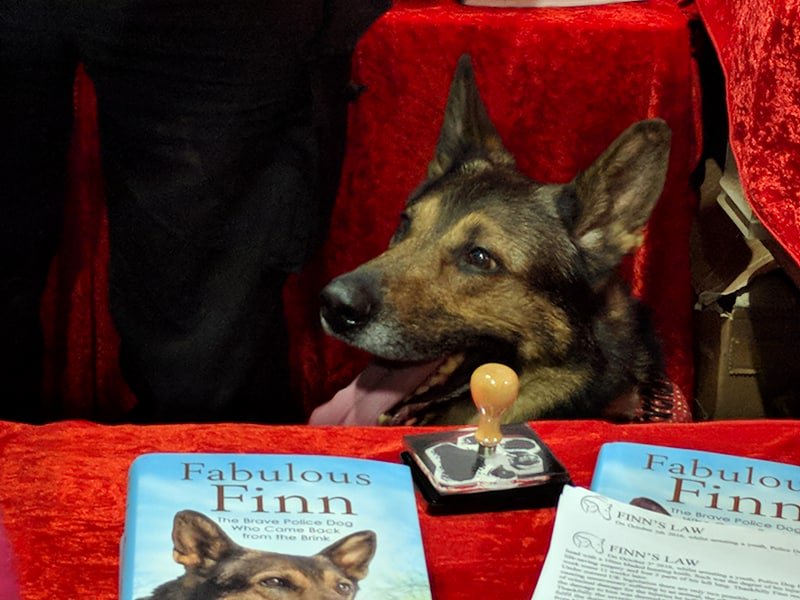 gsrescueelite's tweet image. Day 3 of #crufts has been fabulous, massive thanks to @Davewardell and #FabulousFinn for being our VIP and to the volunteers and dogs for working so hard and to you all for visiting, last day tomorrow and Dave and Finn will be back 1-2pm hall 2 Stand 32a 🐾❤
#Crufts2018