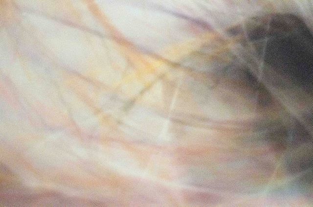 WillWalkerNNP's tweet image. #metonymy #merleauponty #subjectobject #memorybox #phenomenology
#documentaryphotography #documentary #burnmagazine #everydayeverywhere #artphoto
#artphotography #amazing #art #artistic #bestphoto #cool #instaphoto #instapic #instashot
#photo #photogra… ift.tt/2IfsRvw